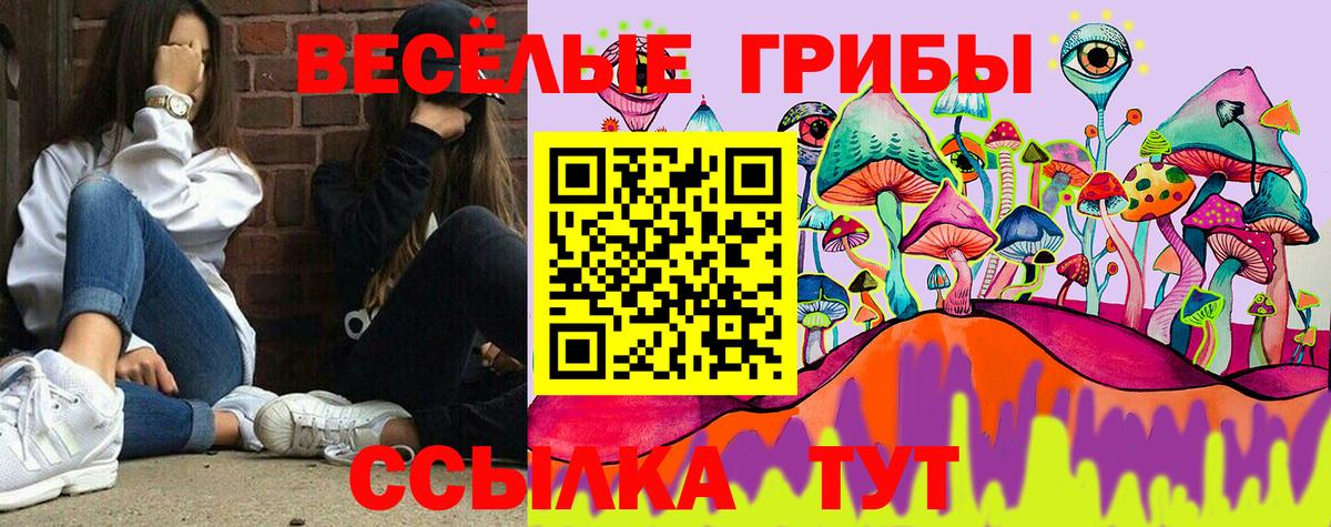 Псилоцибиновые грибы мицелий Королёв