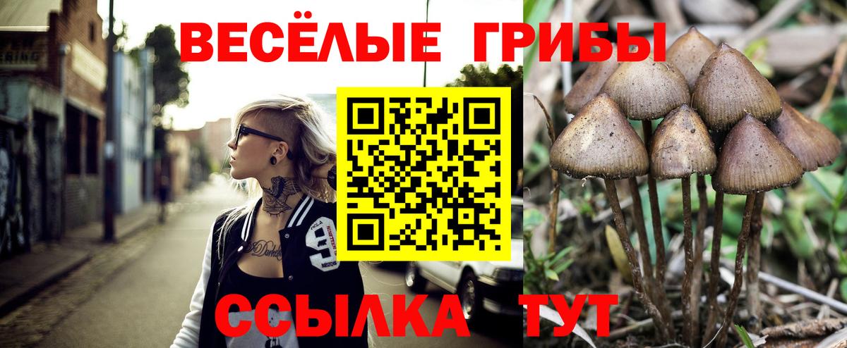 Галлюциногенные грибы Psilocybine cubensis  Вход с VPN  Королёв  Галлюциногенные грибы Magic Shrooms 